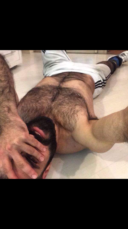 Hairy Men Heaven