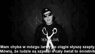 Słoń Tumblr