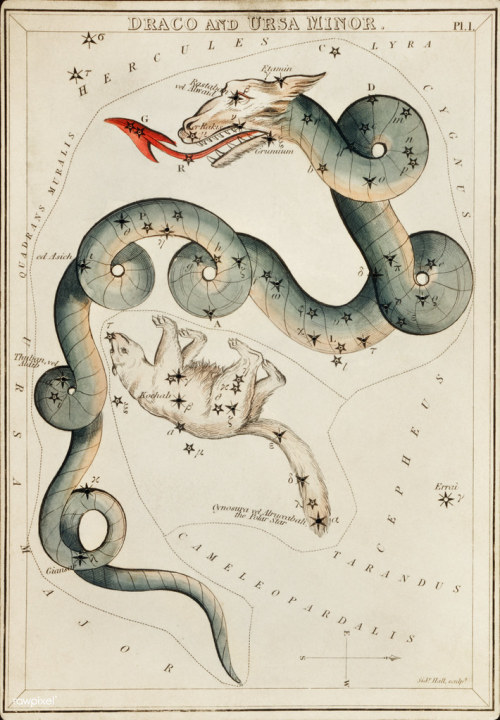 lychens