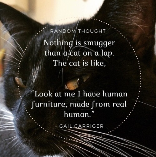 Nos Animaux - Page 3 Tumblr_pj2haiAI5U1qjveiz_500