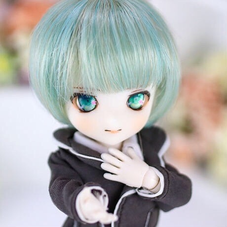 dollce bjd