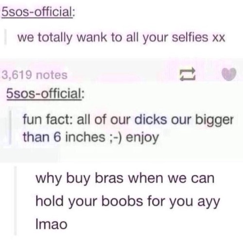 bbygirltaina:5sos ladies and gentlemen