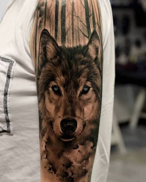 Tattoo tagged with: black and grey, big, animal, facebook, pablohernandez,  twitter, wolf, portrait, upper arm 