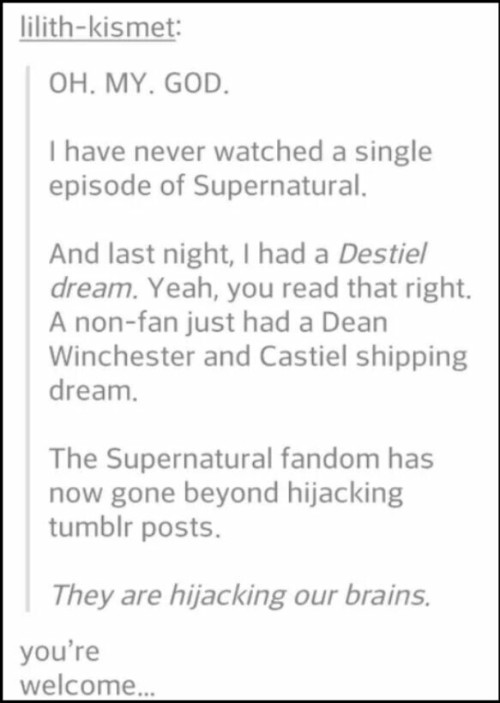 itsstuckyinmyhead:Best of The Supernatural Fandom 