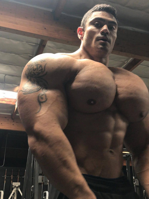 viralsmorphs:Pecs swelling like balloons