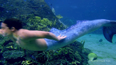 Mermaid tail set H2O