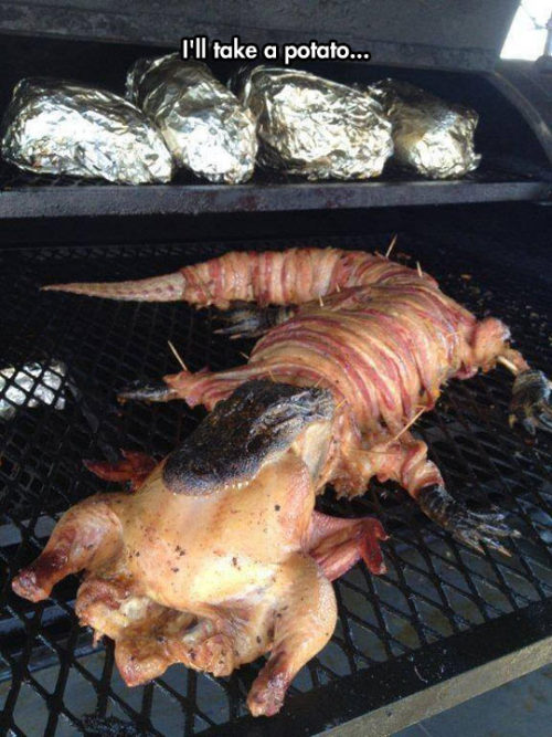 srsfunny:Bacon Wrapped Gator