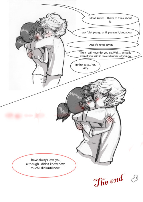 Chat Noir X Marinette Tumblr