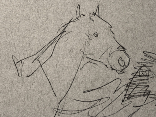 klang-art:It’s really hard drawing horses from life. They move...