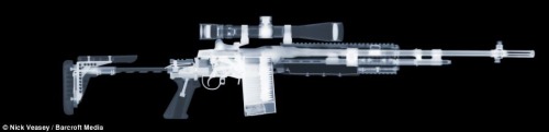 ak4me:ineversurrender:Gun X-rays...