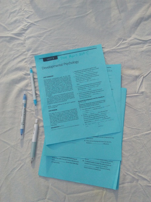studieswithrose