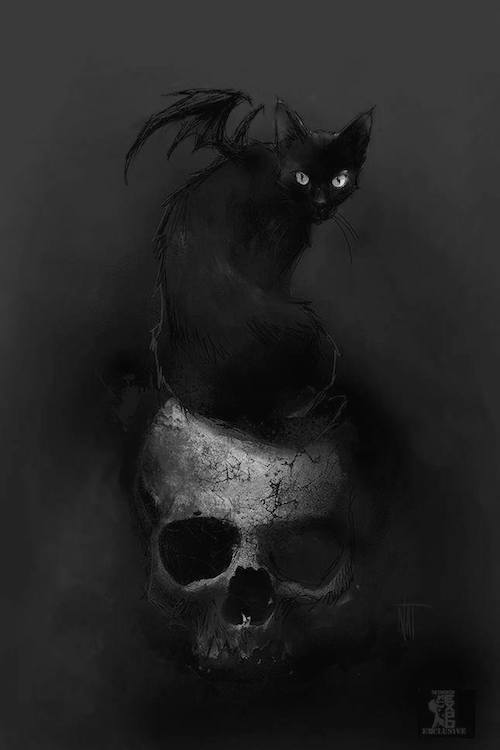 pixography:Nat Jones ~ “The Black Cat II”