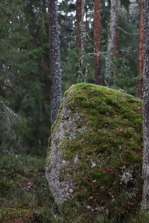 michaelnordeman:Värmland, Sweden.