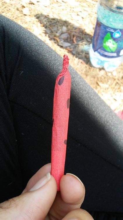 mindsetofdelinquents:Watermelon joint