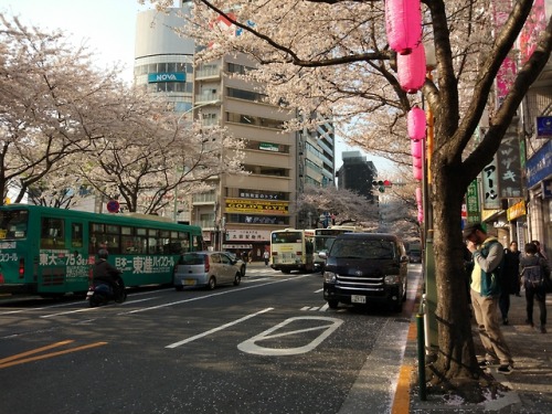 kvnai:Nakano. Tokyo, Japan.