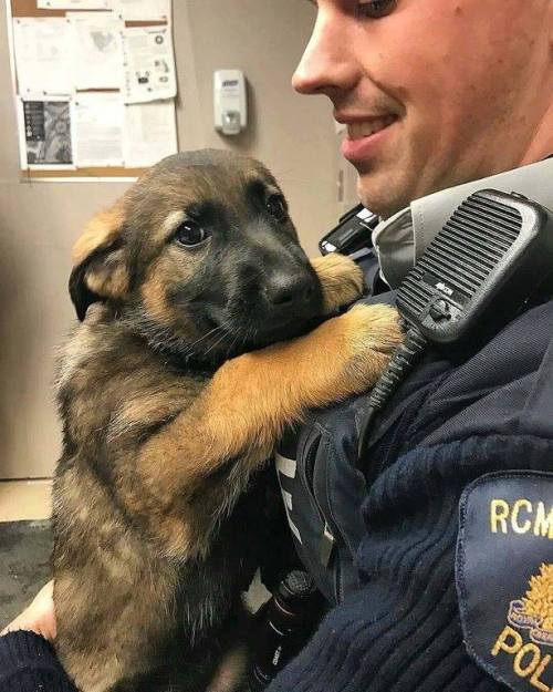 doggosource:nervous cadet on his first day at work