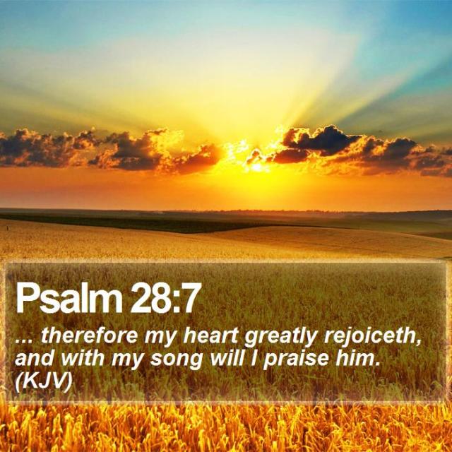 daily bible text