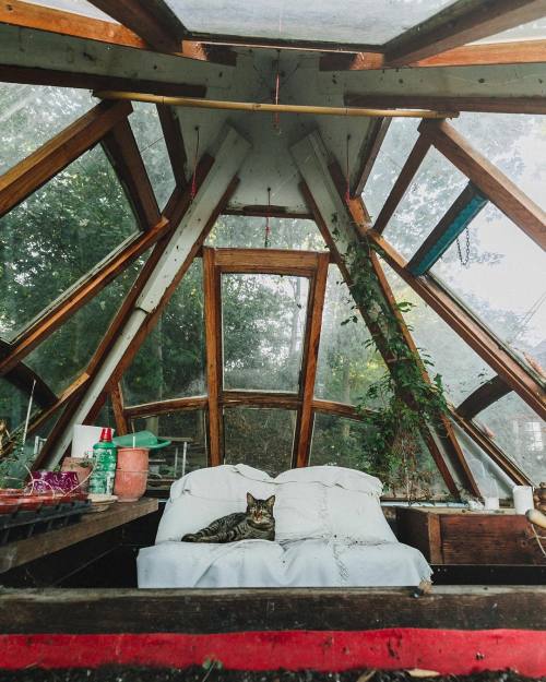 the-cozy-room:☼ coziest blog on tumblr ☼