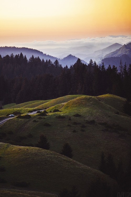 tearingdowndoors:Mount Tamalpais State Park | Andrew H Wagner 