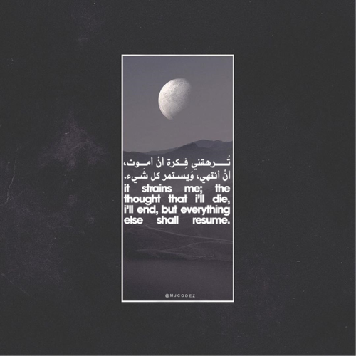 #1 Tumblr's Source For Arabic Quotes