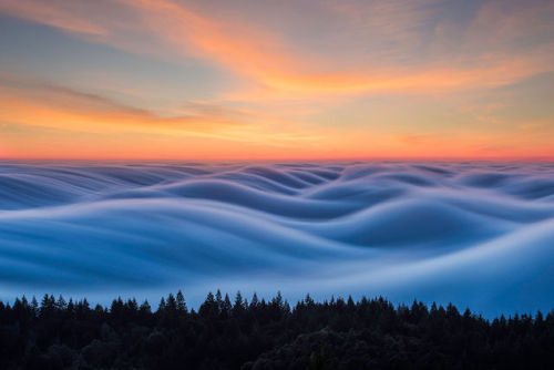 flowartstation: Fog waves: photographer Nick Steinberg captures...