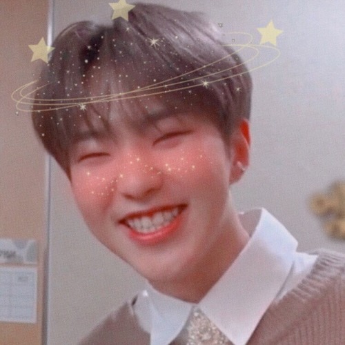 seungmies:꒰ ♡ ꒱༉ ━ hoshi • : * ✧ · ゚: ━ 