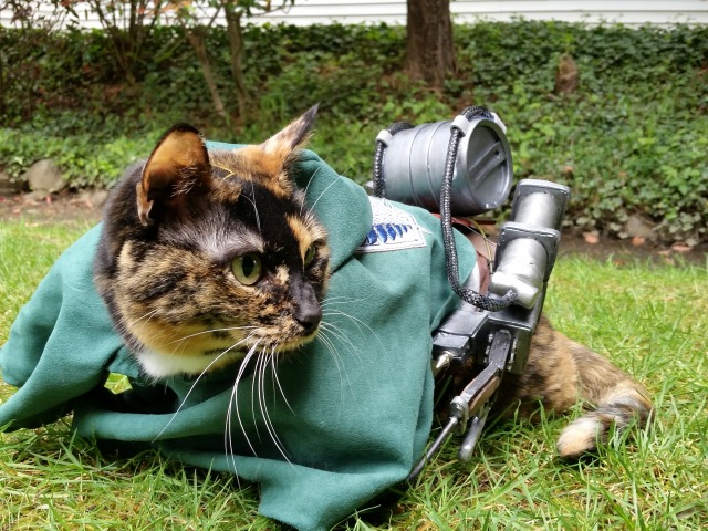 Feline Attack on Titan cosplay