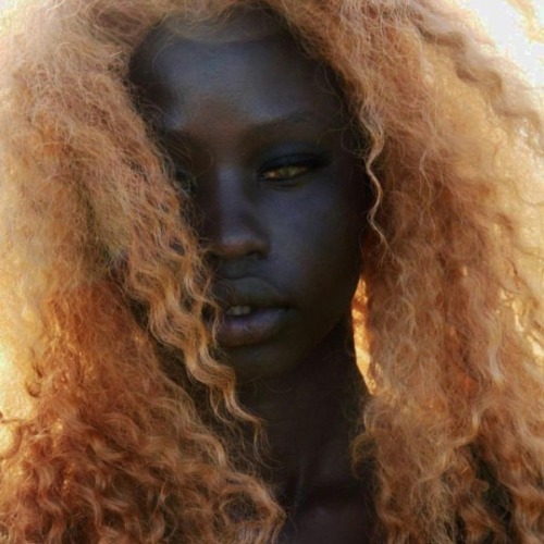 medusabraids:blonde hair on black people is my fave concept 