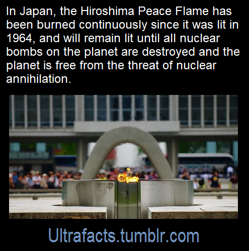 ultrafacts:Source: [x]Follow Ultrafacts for more facts!