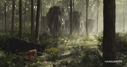 Image result for jungle book movie gif