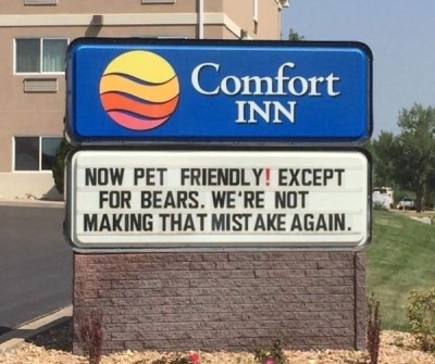 Comfort Inn Tumblr