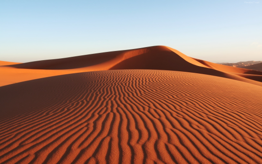 Biotecnología marrón: enfocada en la obtención de componentes y el aprovechamiento de recursos procedentes del desierto.