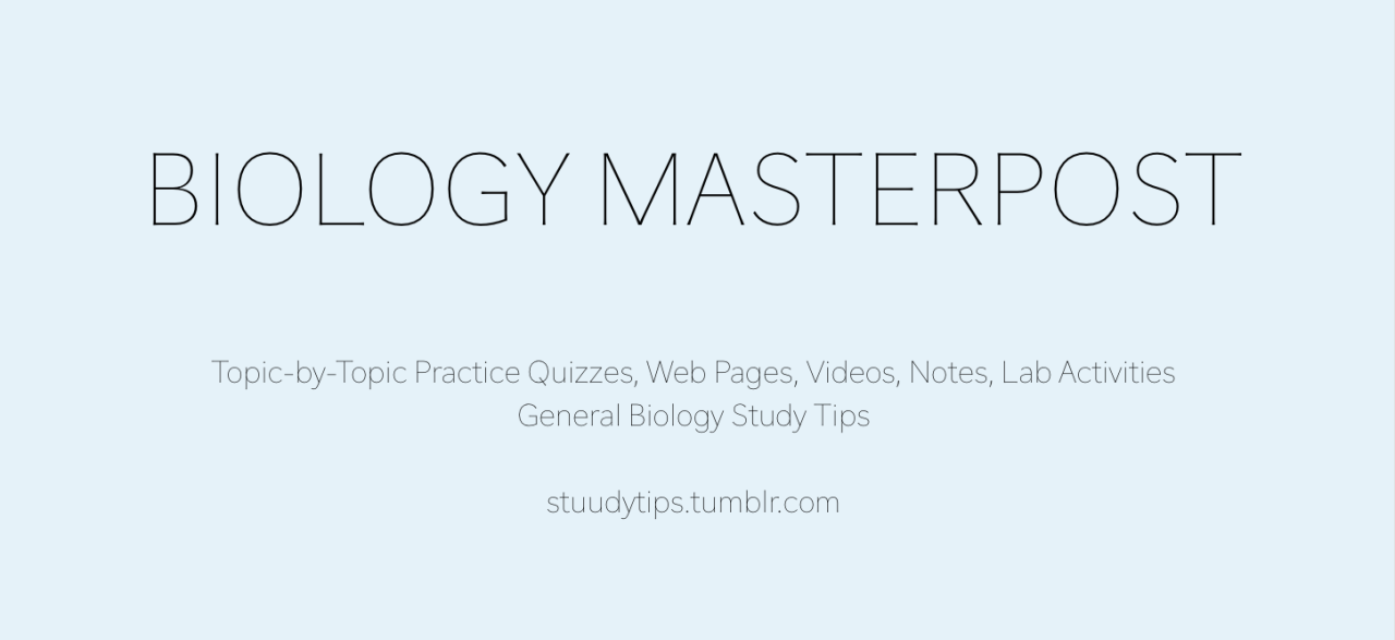 Stuudytips Macromolecules And Biochemistry Quizlets Online