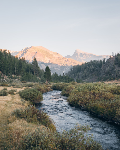 morgan-phillips:Meadows - Morgan Phillips Photography