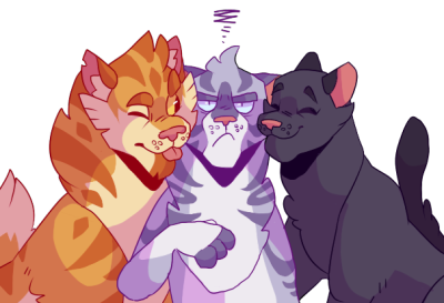 hollyleaf\u0027s power