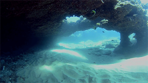 underwater gif tumblr