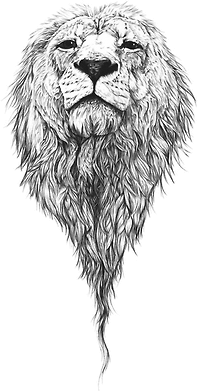 41 Free Download Tattoo Inspiration Lion Idea Tattoo Photos