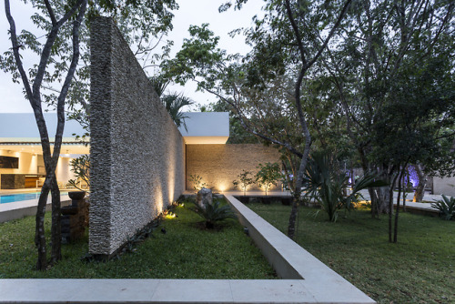 architectur3:House Between Trees AS Arquitectura 