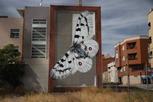 thedesigndome:Mural Artist Who Portrays Butterfly Specimen Box...