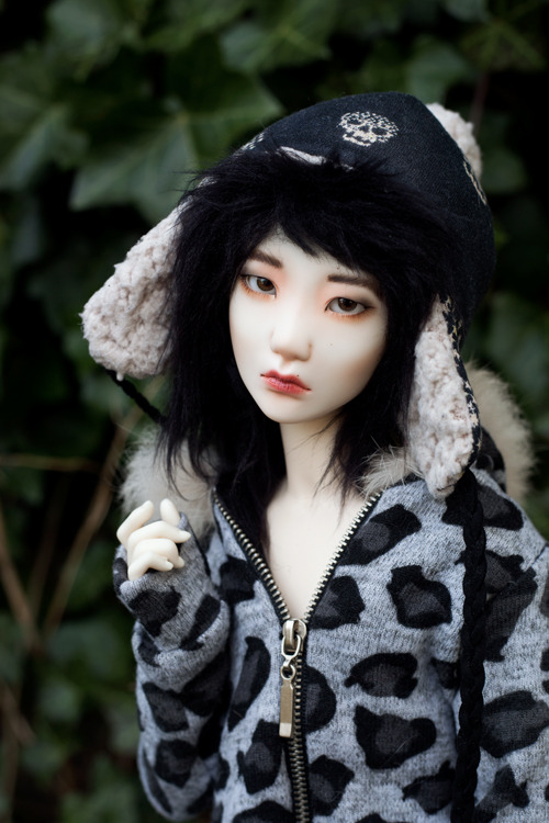 korean boy doll