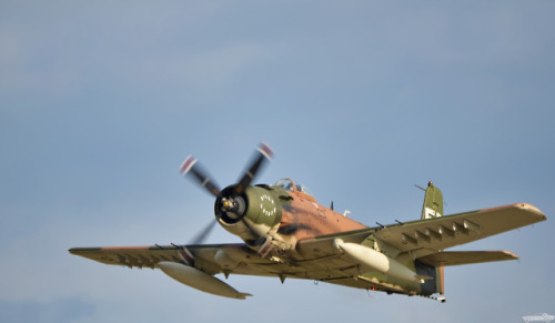 chadscapture:Douglas AD-1 Skyraider “Wiley Coyote”