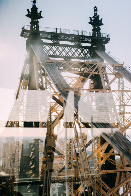 Morning Light by Roosevelt Island, NYC.Newbery Rosario || IG:...