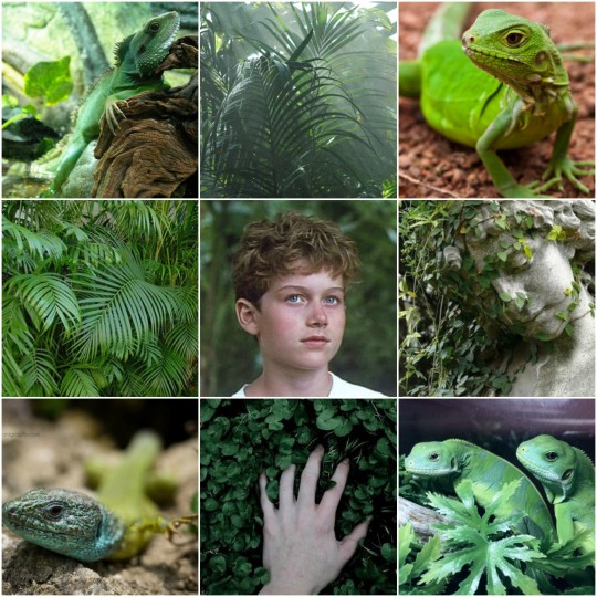 lord of the flies kin tumblr simon lord of the flies