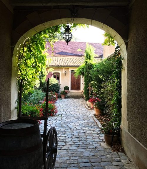 foodworldlove:Our Trip to the French Wine Region of...