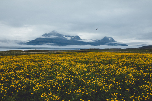 floralls