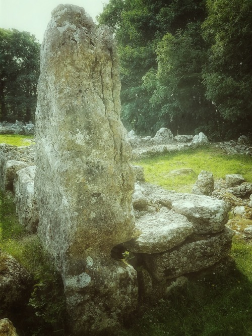 thesilicontribesman:Din Lligwy Romano-Celtic Settlement,...