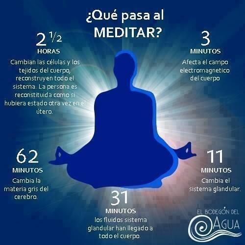 Yogasana • Los Grandes Beneficios De La MeditaciÓn