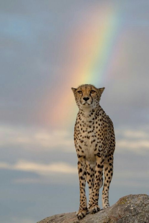 planetbiodiversity