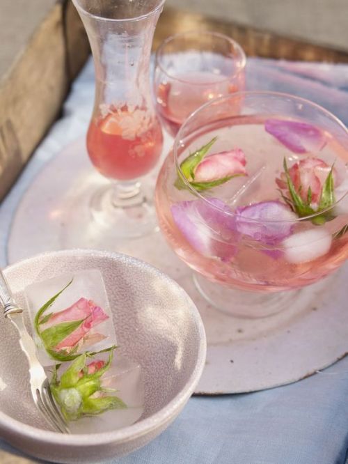 pinkfairiesteaparty