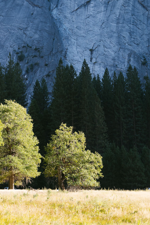 Yosemite National ParkSee more on my blog